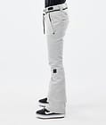 Dope Tigress W Snowboardbyxa Dam Light Grey, Bild 3 av 6